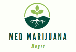 Weed-World-Logo